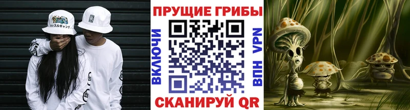 hydra зеркало  Белёв  Псилоцибиновые грибы Cubensis 